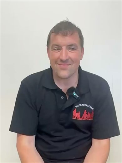 Benefits of Beekeeping for Workplace Wellbeing