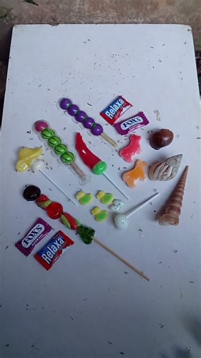 semut makan permen ada keong dan kelomang ulir #short