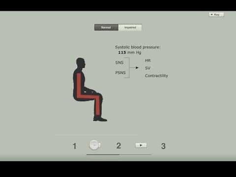 Positional Changes in Blood Pressure