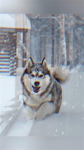 Life at -71°C | The Yakut Elderly Couple Living in Siberian Solitude