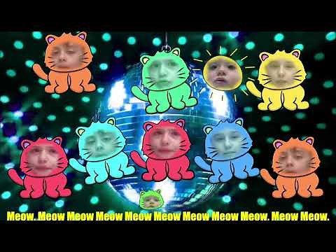 Meow Meow Song