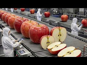 The apple juice production process inside the factory