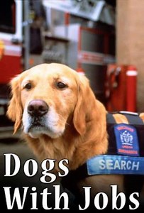 Dogs with Jobs (2010) - TV Show