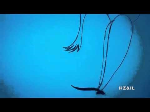 Mr.Blue Sky (REMASTERED)