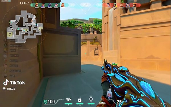 Mwzera do plat🤣 . . . . #valorant #raze #aim #valorantclip #ace