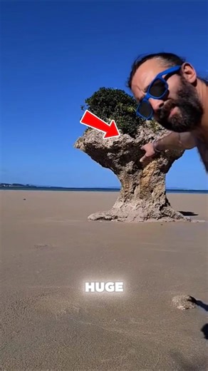 Looks Safe… Until It Swallows Everything 😳#shorts