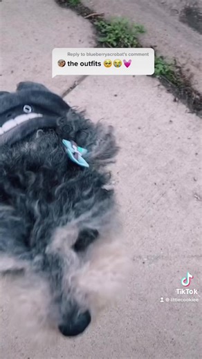 Weeeeeeeeeeeeeeeeeeee