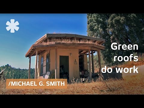 Natural building myths: tiny homes and green roofs