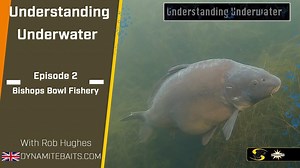 379K views · 3.7K reactions | We're just putting together the finishing touches to the next Understanding Underwater!  In the meantime, in case you missed the last episode, here's the full version of UU2... #UnderstandingUnderwater #DynamiteBaits #CarpSpirit | Dynamite Baits | Facebook