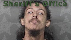 Pregnant Florida woman pepper sprayed man who threatened her with shovel during road rage incident: police