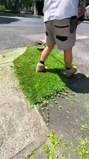 Essential Lawn Care Tips for a Thriving Garden