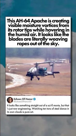 PHYSICS OF THE ROTOR BLADE VORTEX