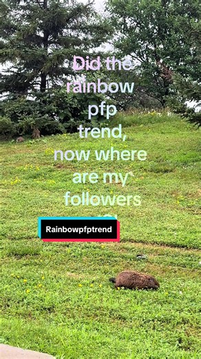 Rainbow PFP Trend: Cute Group Support Ideas for Profile Pictures