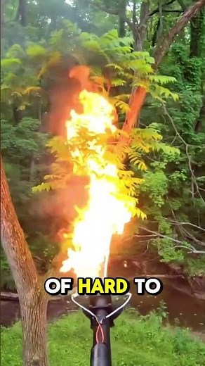 Meet the TF-19 Drone: The Flamethrower Wasp for Pest Control! 🔥