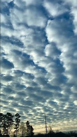 An incredible view of stratocumulus undulatus clouds