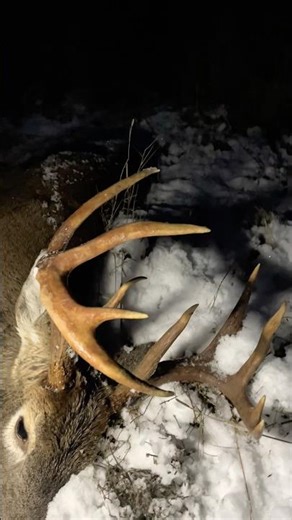 First Look at My 2025 Whitetail Buck | Christensen Arms Ridgeline FFT | Deer Hunt #whitetailbuck