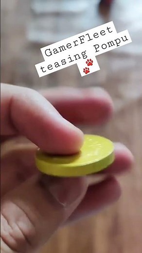 GamerFleet teasing Pompu 🤣 | #Shorts #GamerFleet #GamerFleetshorts #Dog