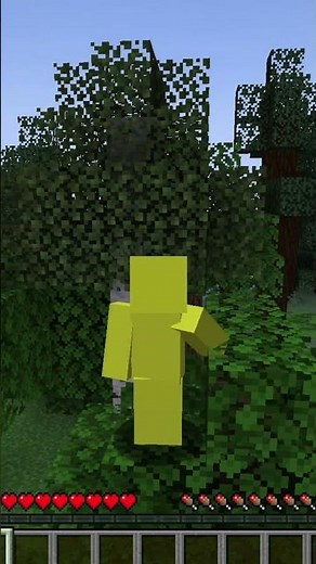 Minecraft but I have to die in 30 seconds, I don't remember which part