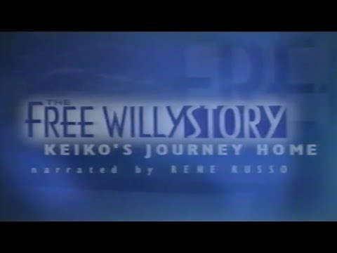 The Free Willy Story (1996) — Keiko's Journey Home [VHS Rip / Digitization] Discovery Channel Video
