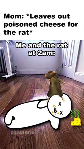 The rat set me up 💀