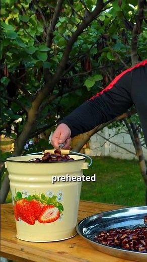 Roasted Edible Chestnuts — Sweet, Nutty & Healthy 🌰🔥