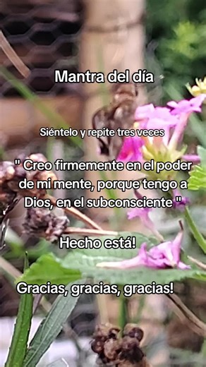 Mantra del día Mantra del día #espiritualidad #abundancia #conexion #paz #mantra