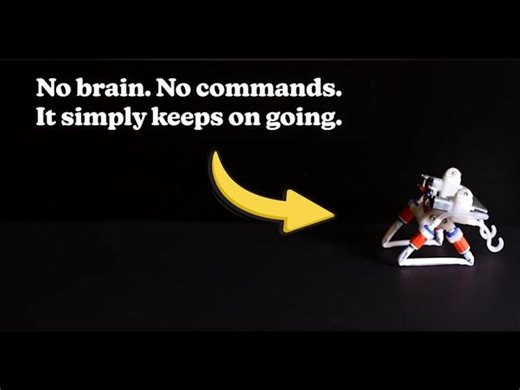 This soft robot thinks with its legs: physical synchronization of self-oscillating limbs | John V.