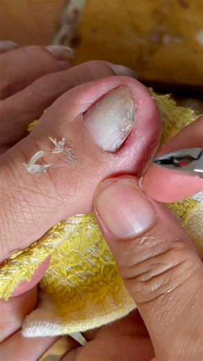 How to Cut nails 🇺🇸✂️💅✨🥳 #NEP-212.#nails #nailart #lifestyle #naildesign