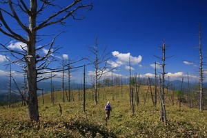 鉢伏山＆二ツ山　ハイキング　2022/5/28