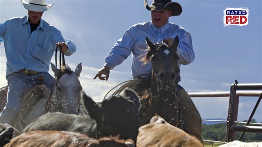 The 10 Deadliest and Most Dangerous Jobs in America