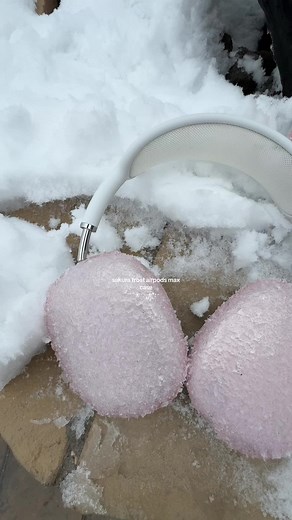 Sakura Frost AirPods Max Case for Aesthetic Lovers