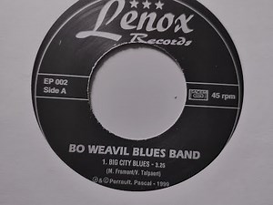Bo Weavil Blues Band - Big City Blues