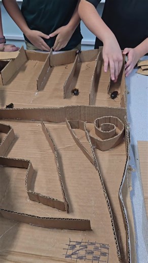 Cockroach race track/obstacle course! no roaches were harmed, just dearly loved, admired, and given a speed boost haha #foryoupage #cockroaches #hissingcockroaches #cockroachrace