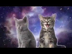 lol cat space mix singing cats 2018