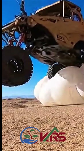 Auto Insurance for all types of vehicles