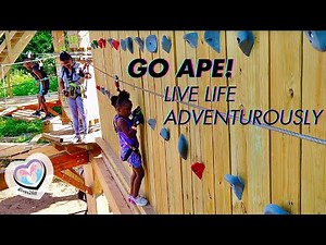 Conquering the Go Ape Climbing and Zip Lining Course | Thrill-Seeker's Paradise Adventure!