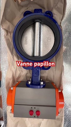 Vanne papillon à actionneur pneumatique