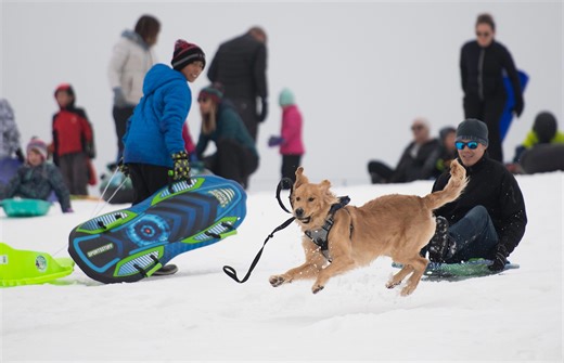 Disc golf, sledding could disappear from Hughes, despite what you might have heard