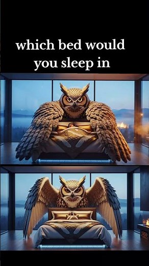 Which Bed Would You Sleep In | “Unreal Animal Bed Collection 🐉🦁