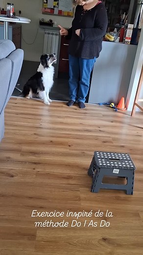 1.1K views · 31 reactions | Challenge du jour avec ma chienne Je...