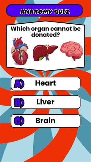 Basic Knowledge Quiz....?????#vocabularyquiz #usaquiz #fypシ #generalknowledgequiz #dailyquiz