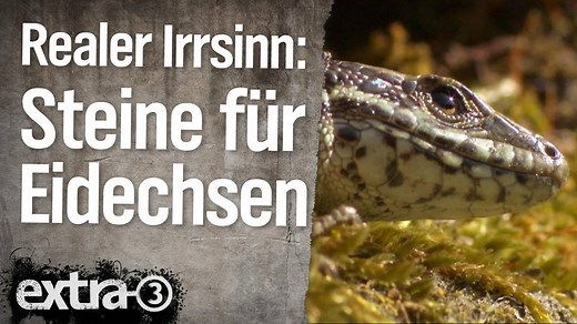 Gebt den Echsen ein Zuhause! | Extra 3