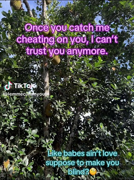 Once You Catch Me Cheating I Can't Trust You Anymore — Relationship Meaning Explained