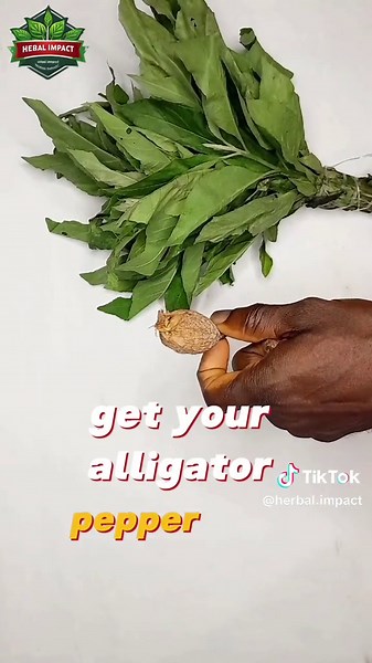 Exploring Natural Remedies in Herbal Medicine