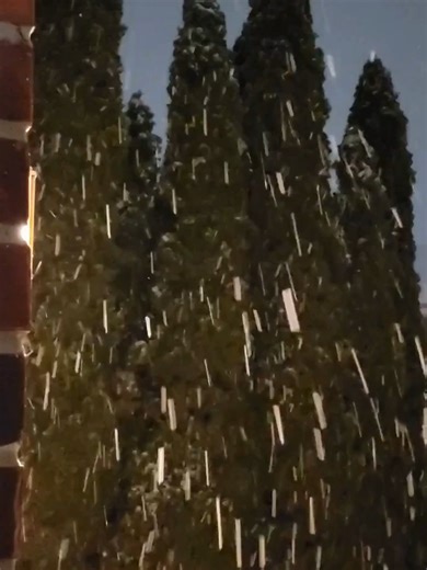 Spring Snow Falls in Westfield, Indiana