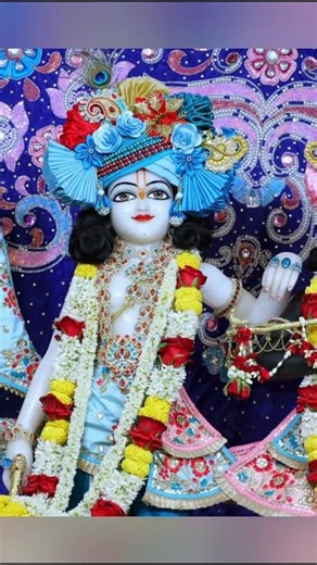 beautiful Shringar darshan of shrikrishna balram #kirtan #love #harekrishna #viral #shorts