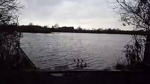 3.4K views · 59 reactions | Andy Carp Fishing Live | Live Stream Fishing UK | Facebook