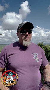 6.9K views · 124 reactions | Paper Towels #dadjokesdaily #TheGuy #shoptheguy | The guy | Facebook