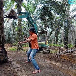 1.6M views · 5.4K reactions | How #bulldozers tear down #trees considered sacred #reaction #comedy #sitcom #indonesia #usa #maliqnganjuk | Maliq Nganjuk | Facebook