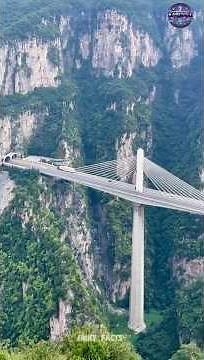 India's First Cable Stayed Rail Bridge | Anji Khad Bridge | Cable Bridge | #CableBridge #AnjiBridge